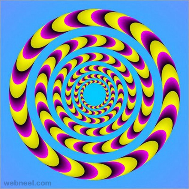 Image result for illusion
