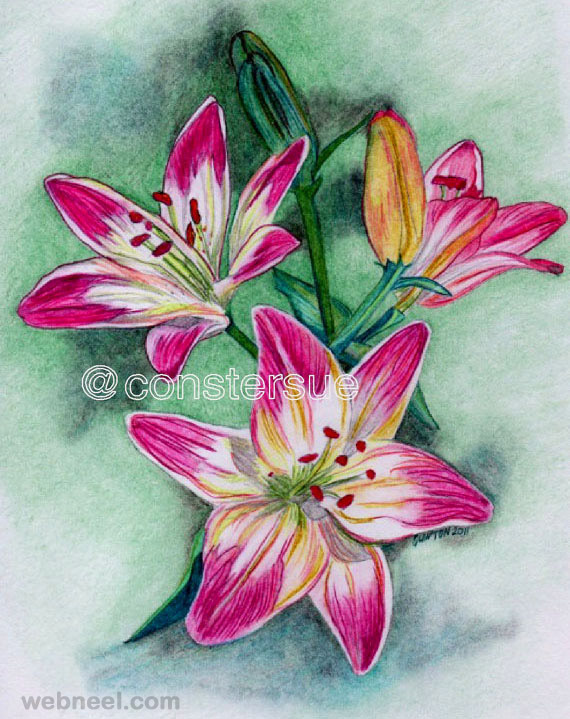 40 Beautiful Flower Drawings and Realistic Color Pencil