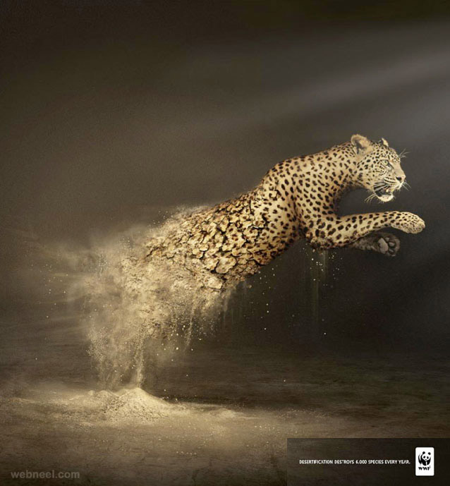 animal ad ads advertisement print best