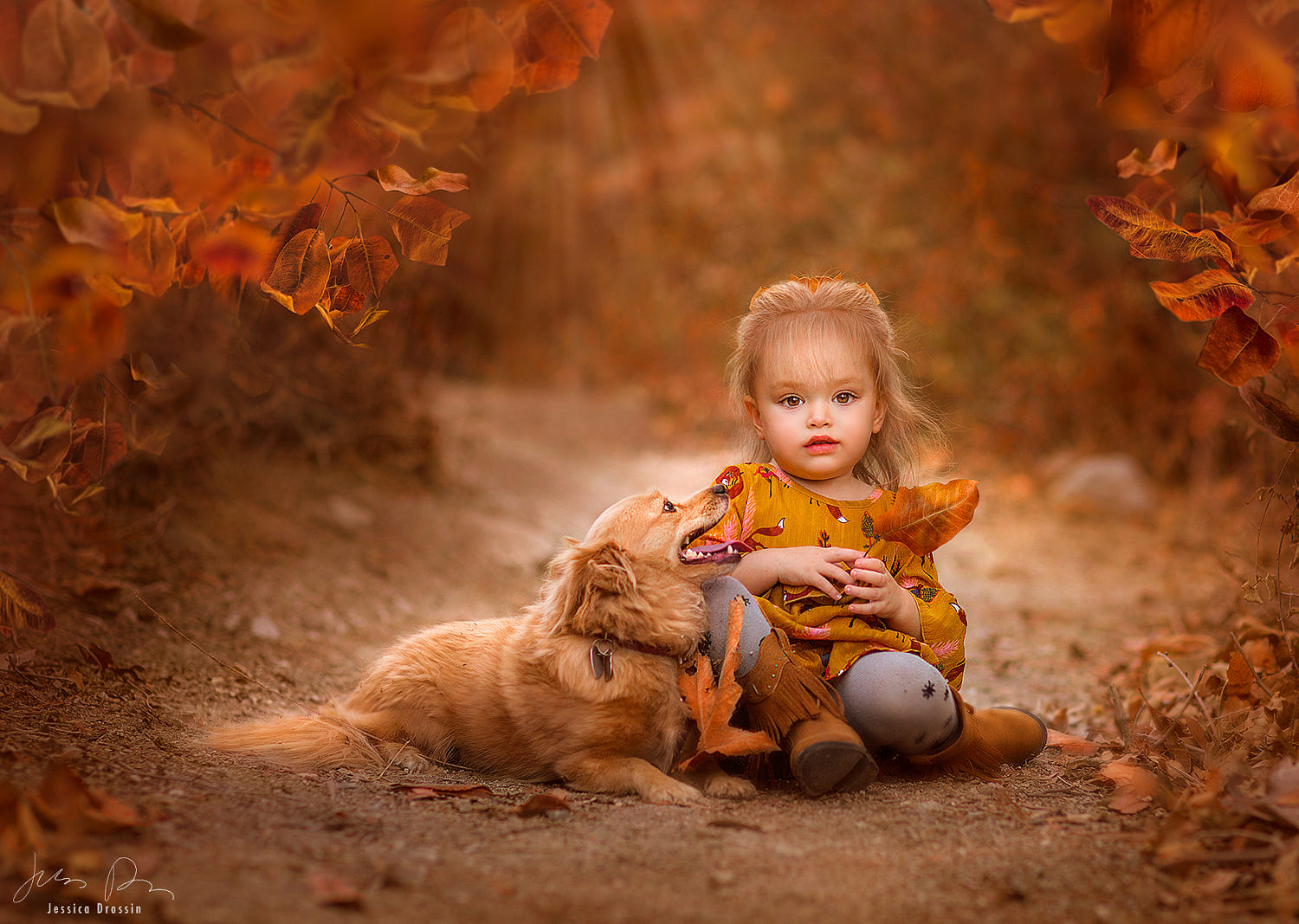 Baby Portrait Photography Ideas By Jessica Drossin 6 Full Image