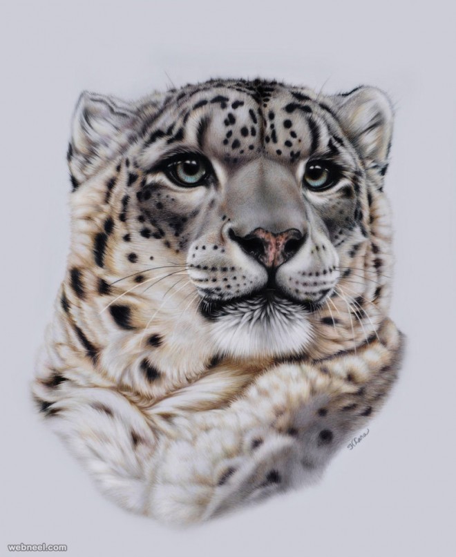 animal painting