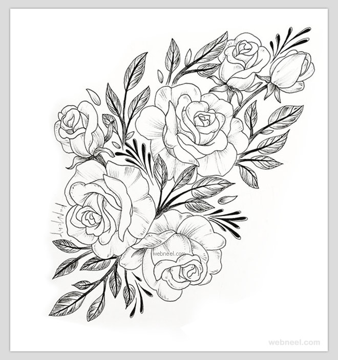 flower drawing rose by anya alexeeva 3
