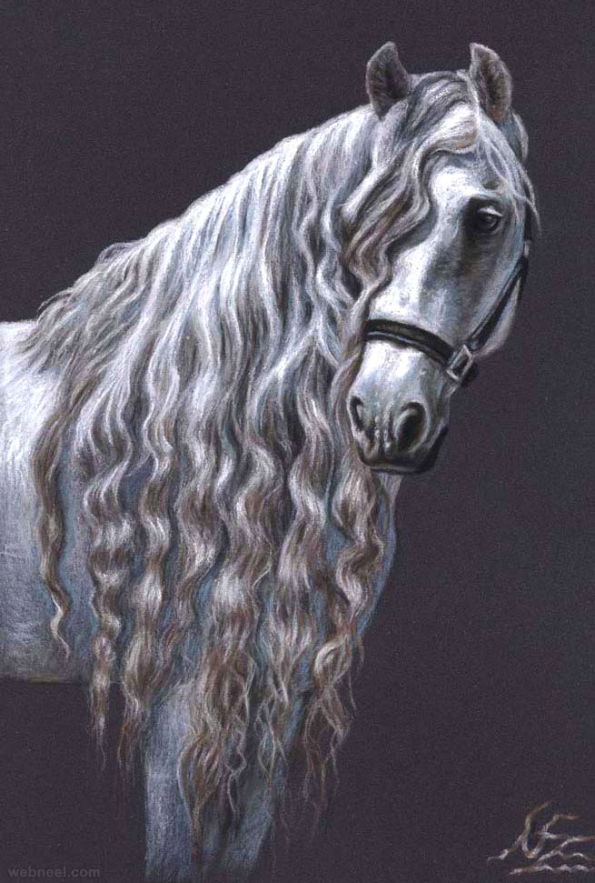 animal horse drawings
