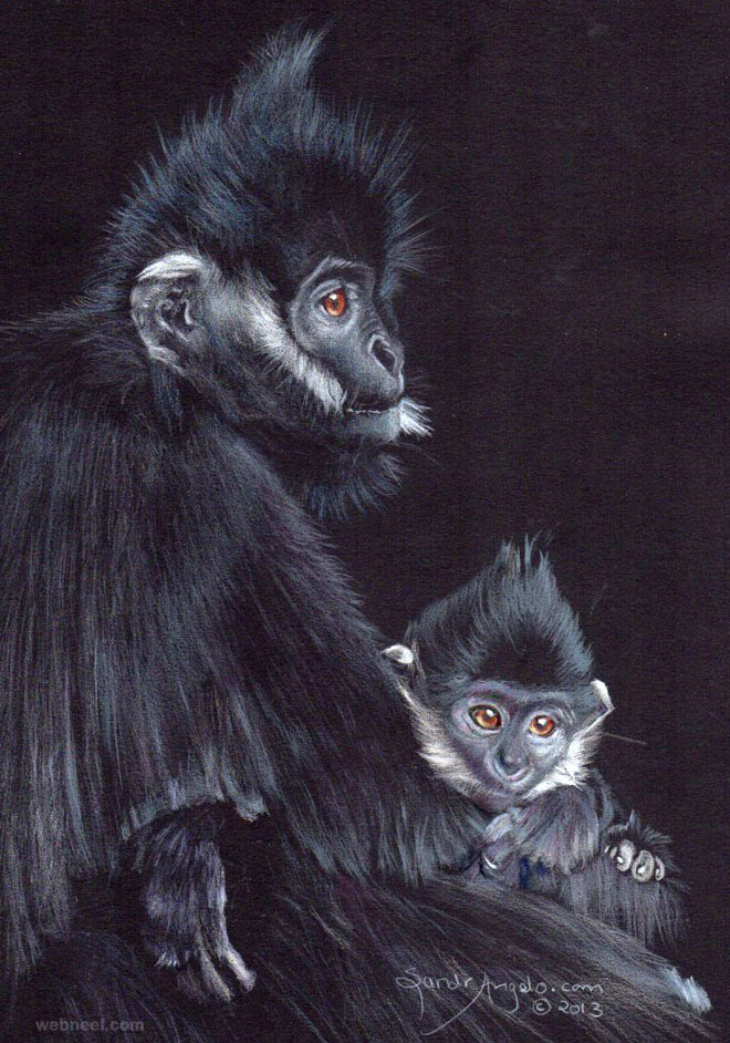 monkey animal drawing