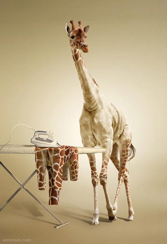 photo manipulation giraffee