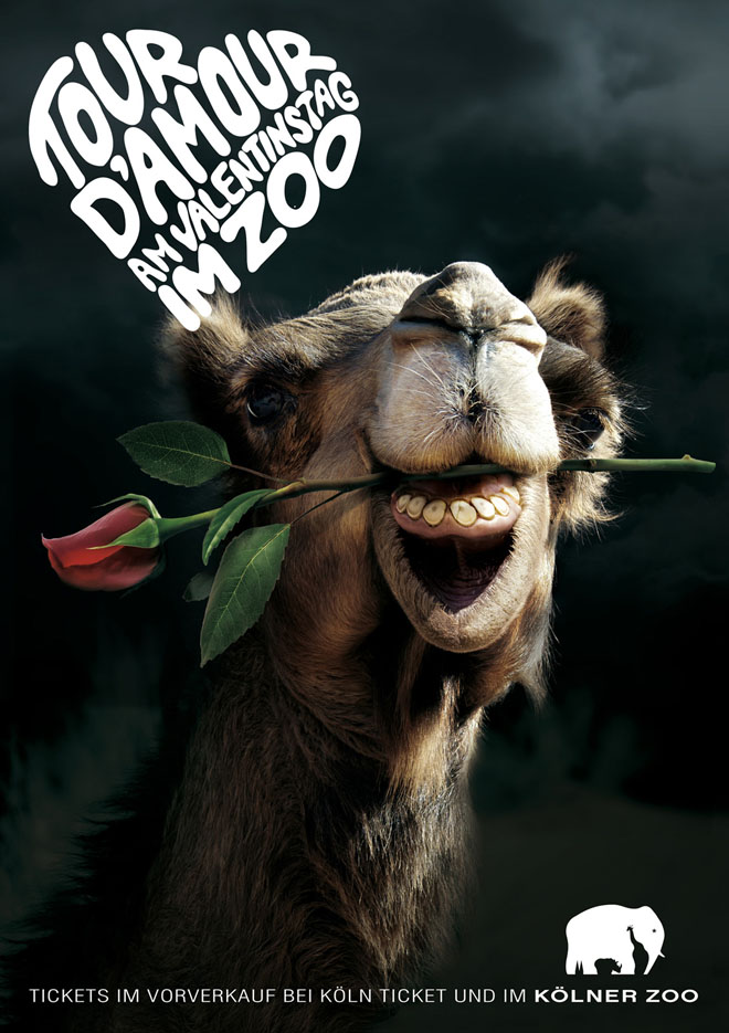 Image result for creative zoo ad