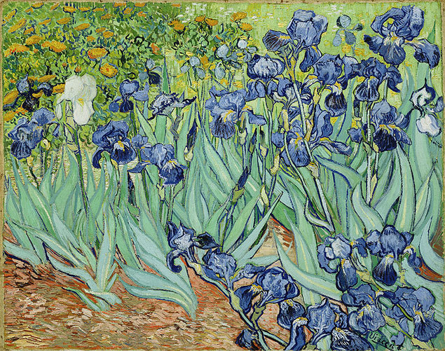 7-Irises 7-Irises