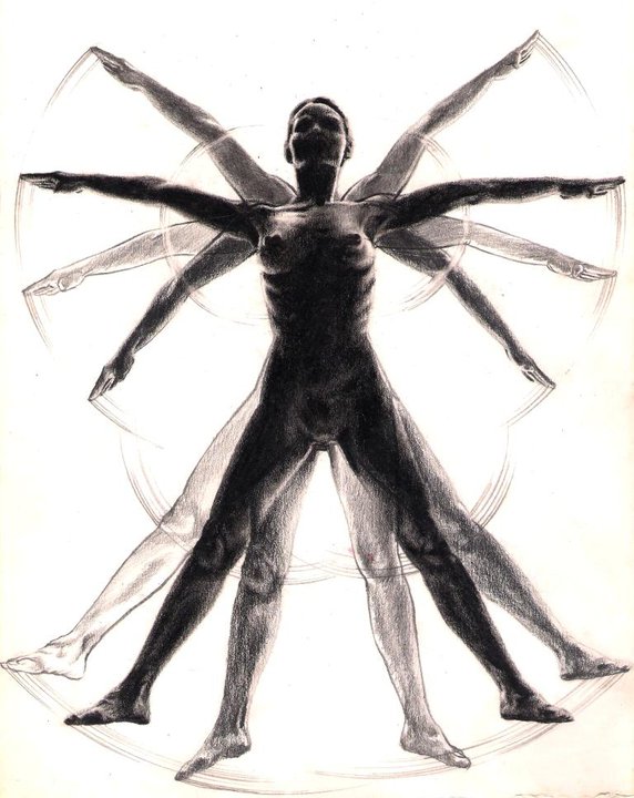 Anatomic study (16)