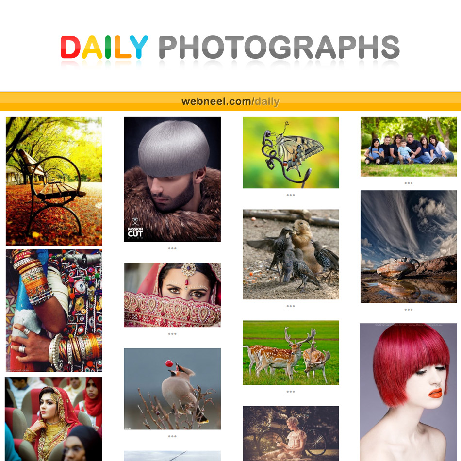 daily photography inspiration