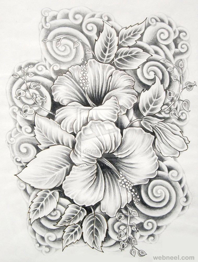 14 drawings of flowers hibiscus