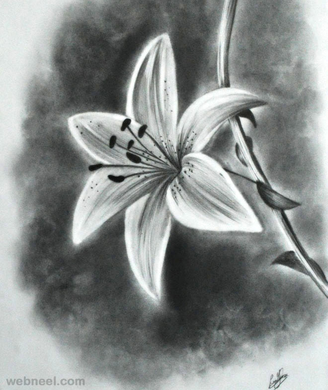 Flower Drawing 15 Full Image