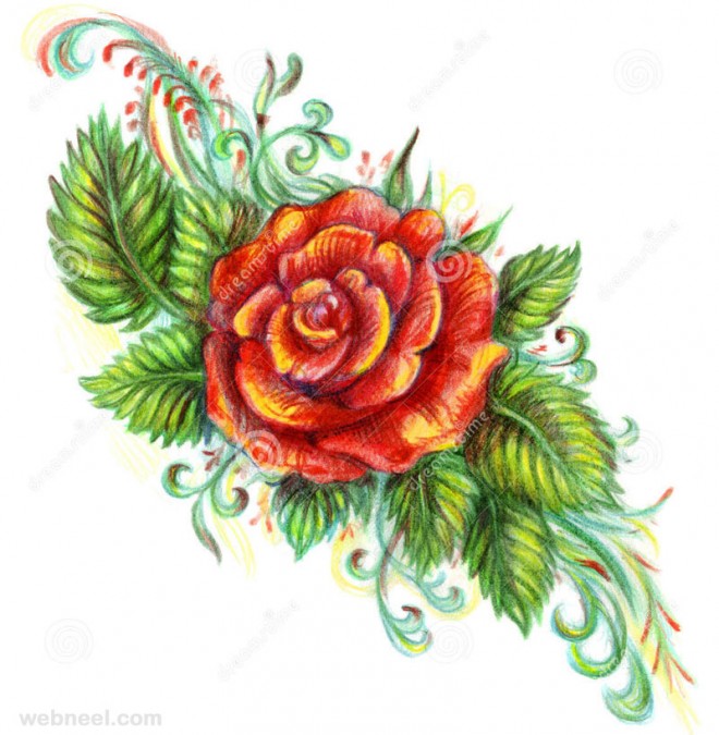 Free Rose Flowers Drawing Download Free Rose Flowers Drawing png images  Free ClipArts on Clipart Library
