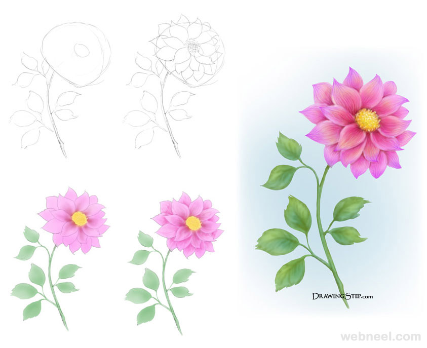 Easy flowers to draw – step-by-step tutorials + pictures