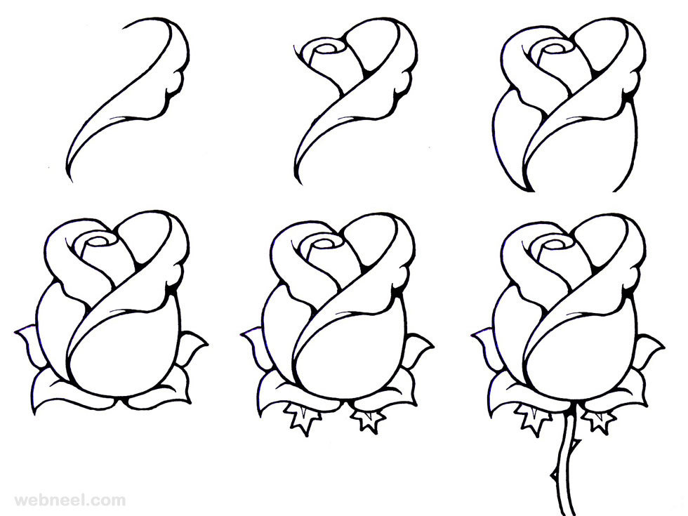 flower drawing step by step