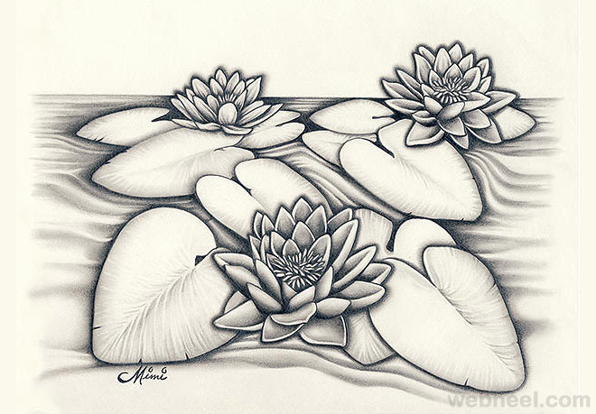 pencil drawings of flowers