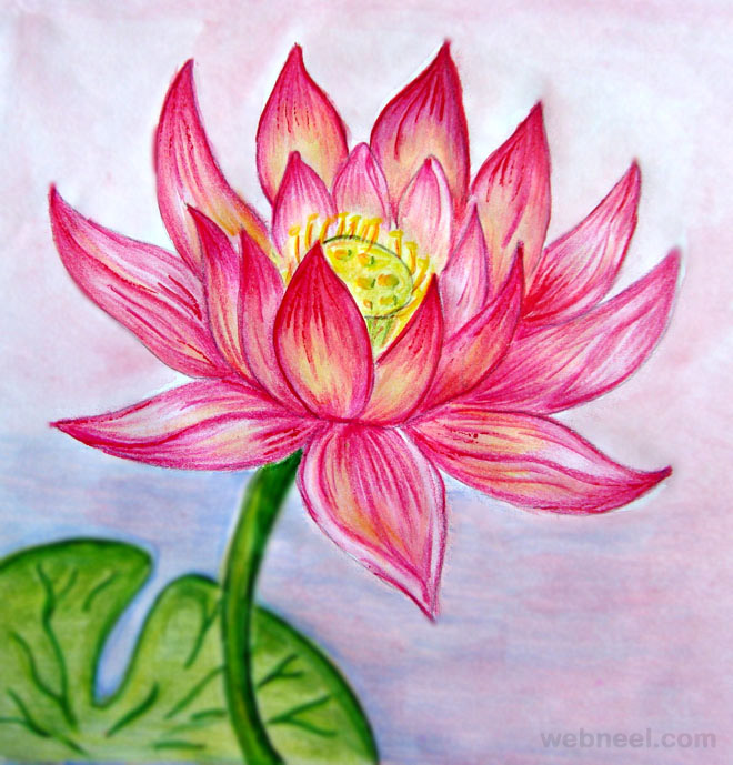 45 Beautiful Flower Drawings And Realistic Color Pencil Drawings