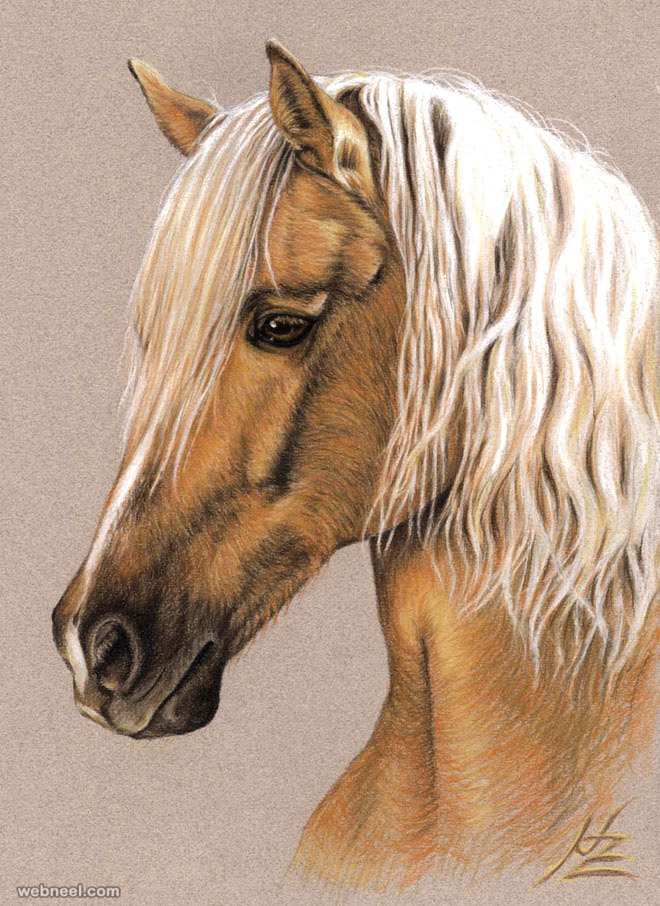 horse drawing animal nicolezeug