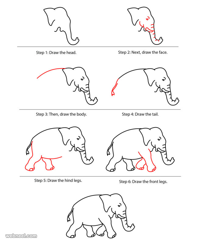 How To Draw Animals Elephant 7