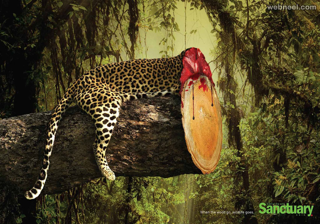 deforestation advertising