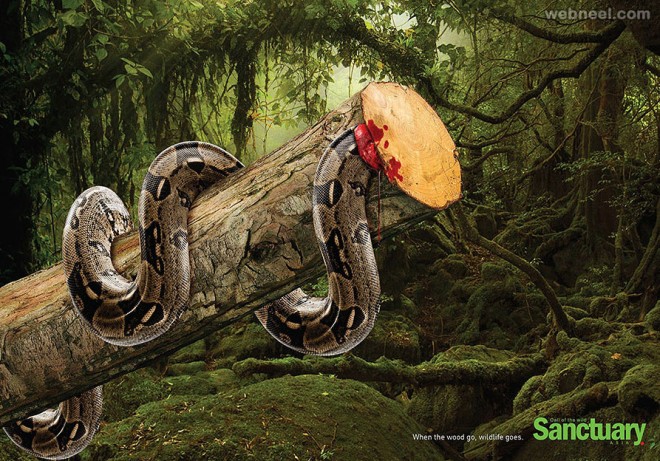 deforestation ads creative advertising