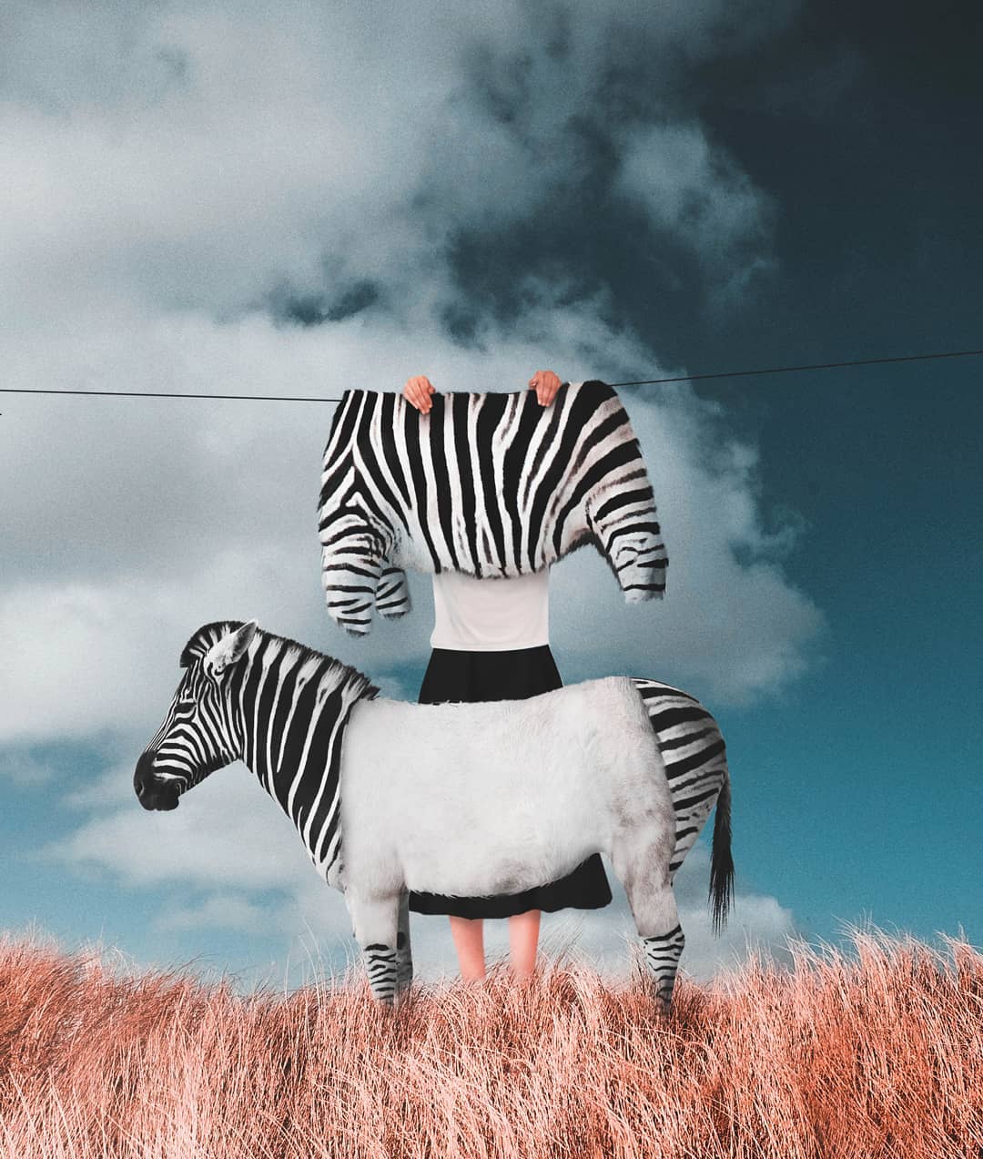 photo manipulation zebra
