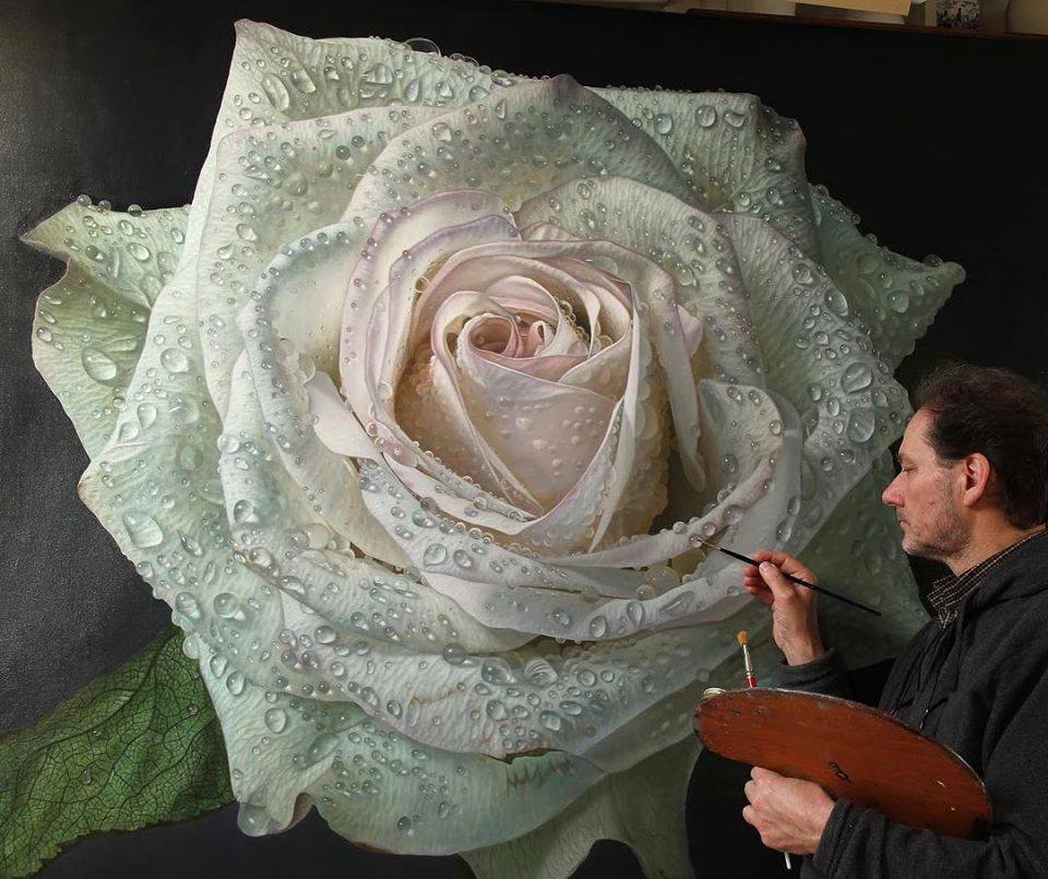 oil painting white rose