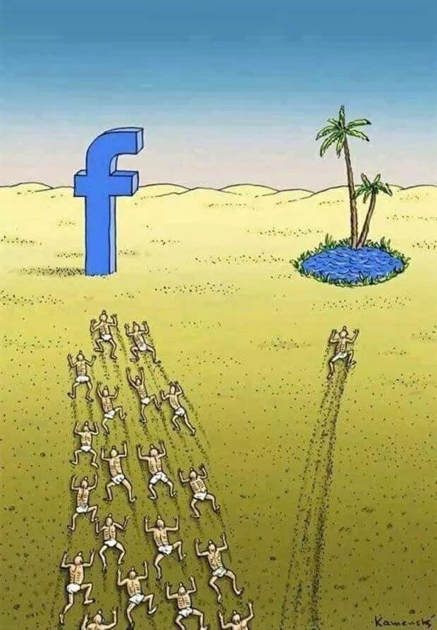 funny cartoons social media facebook island