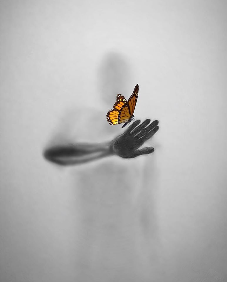creative drawing ideas butterfly by willie hsu