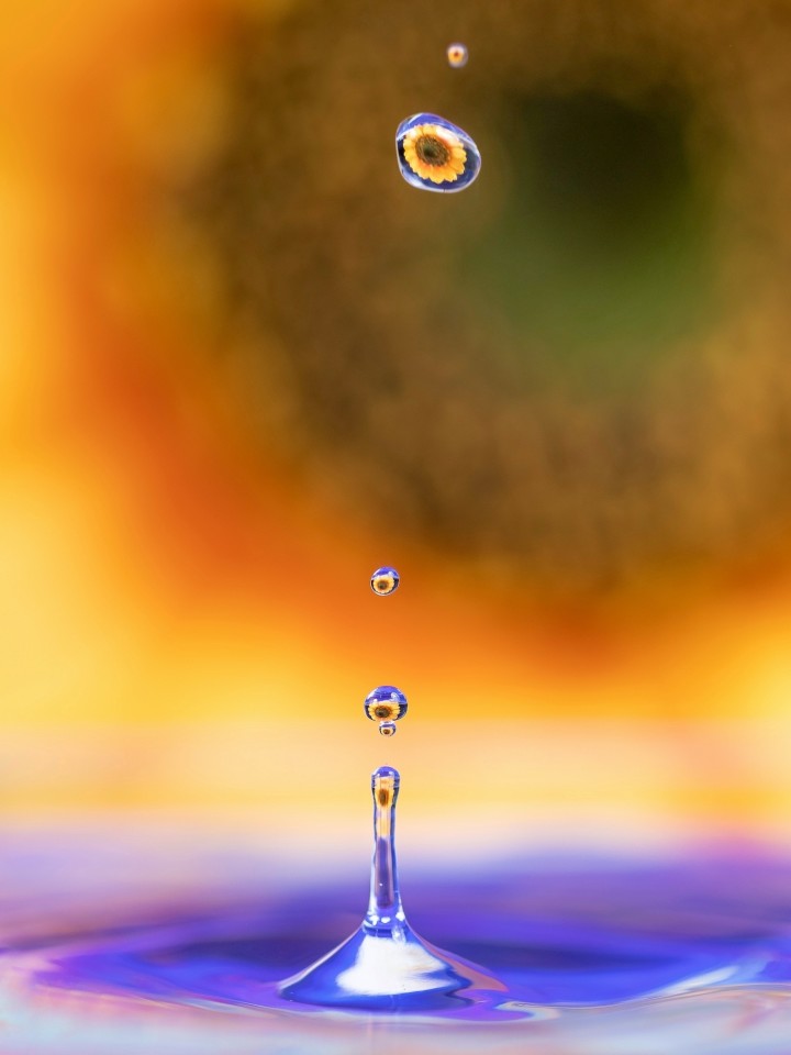 award winning micro photography water drops by malaga