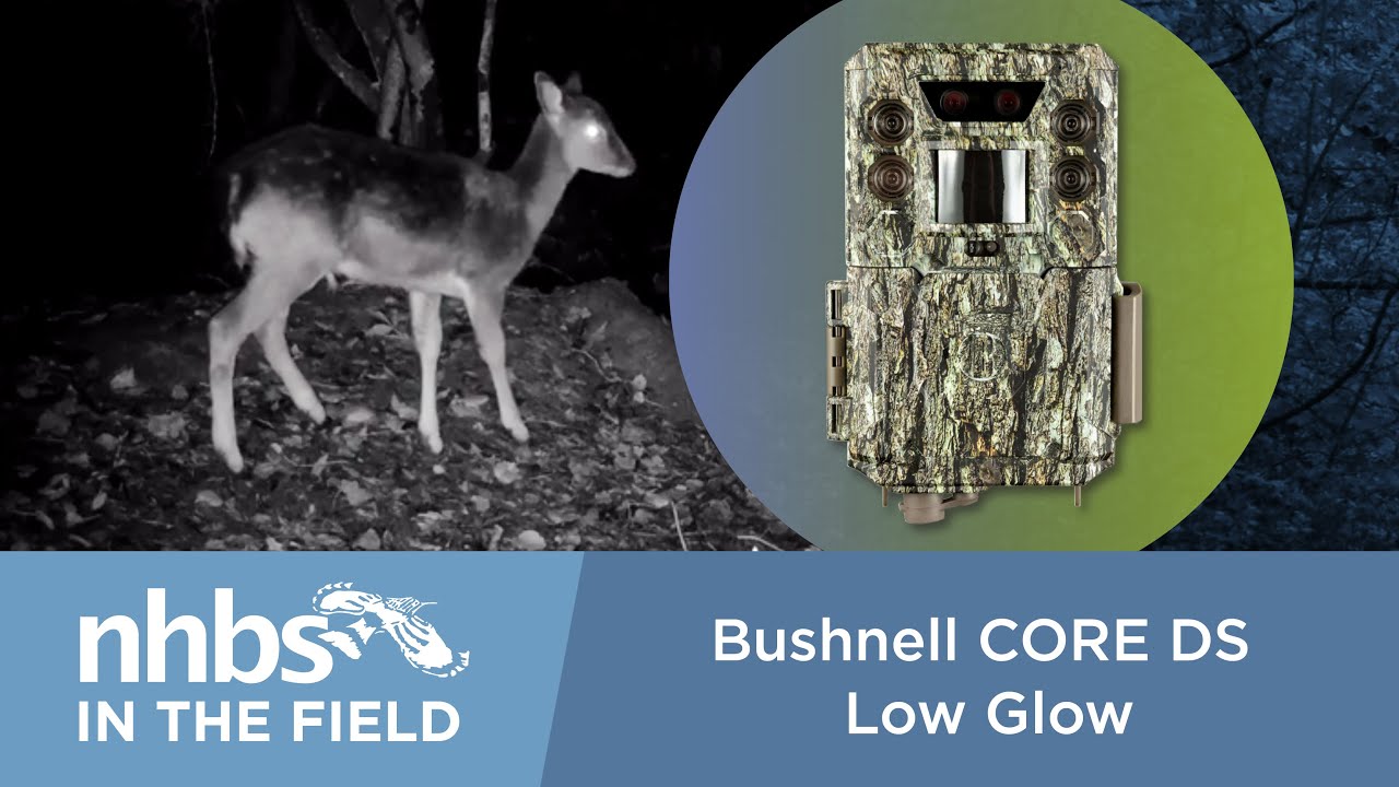 best camera for photography bushnell core by angela guzman