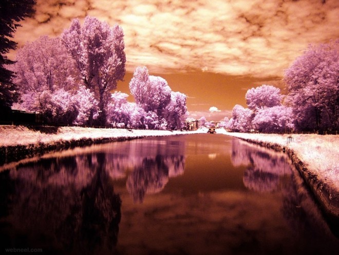 infrared infra red photography photograph photo picture