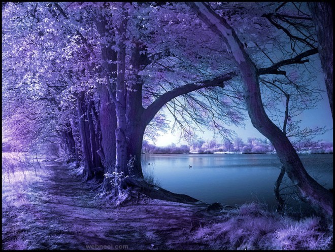 infrared infra red photography photograph photo picture
