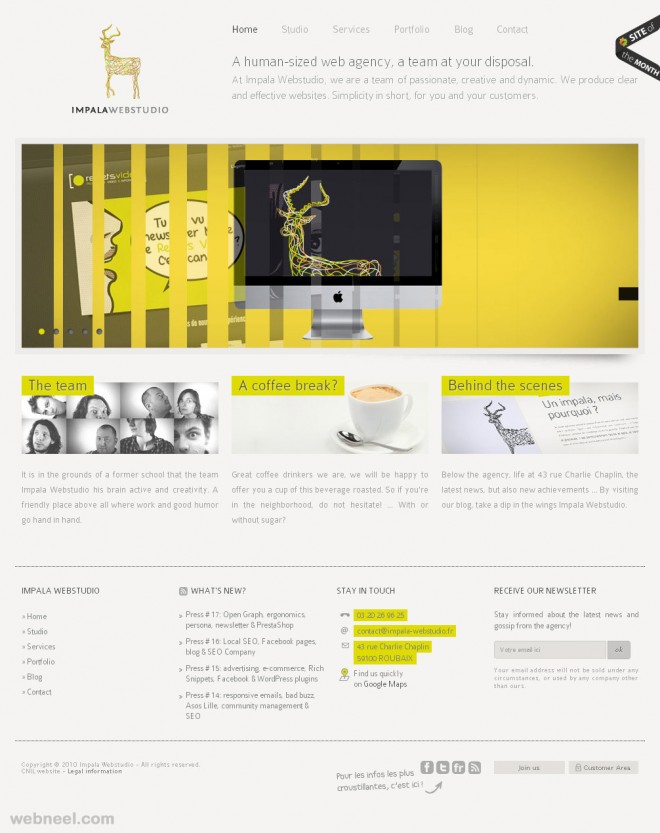 lille corporate website design