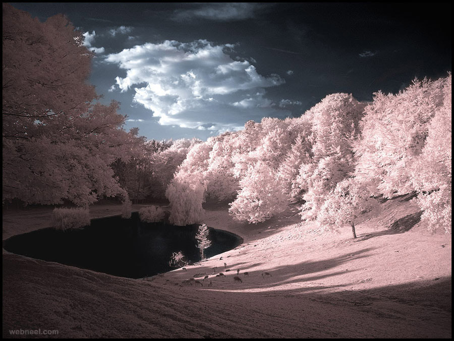 valley infrared photography
