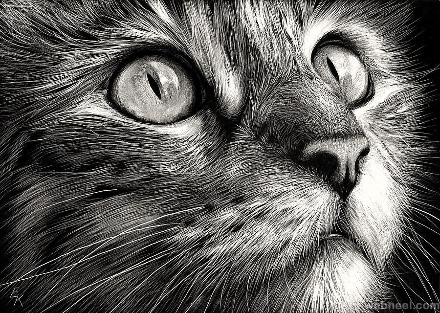 30 Beautiful Cat Drawings - Best Color Pencil Drawings and Paintings -  World Cat Day Aug 8