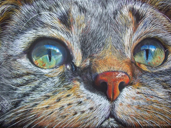 cat drawing color