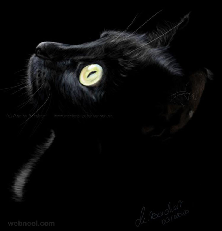 black cat painting