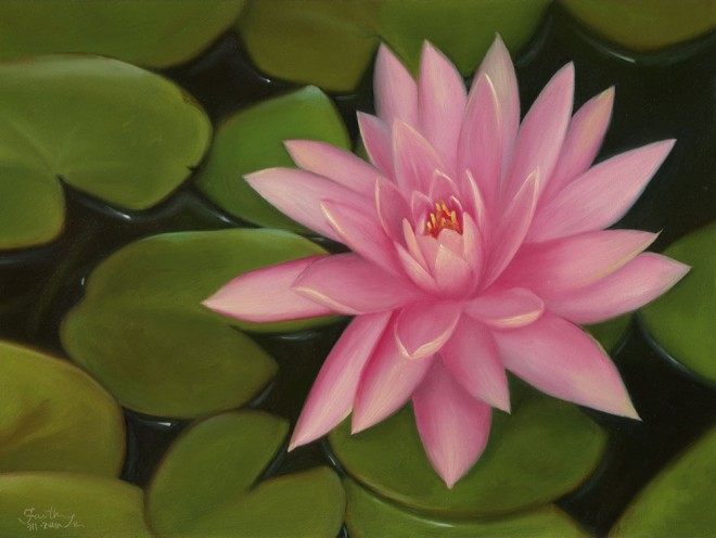 pink lotus flower painting