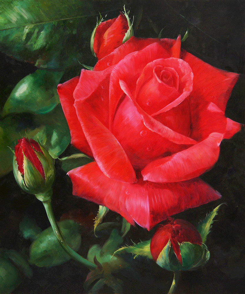 red rose flower painting