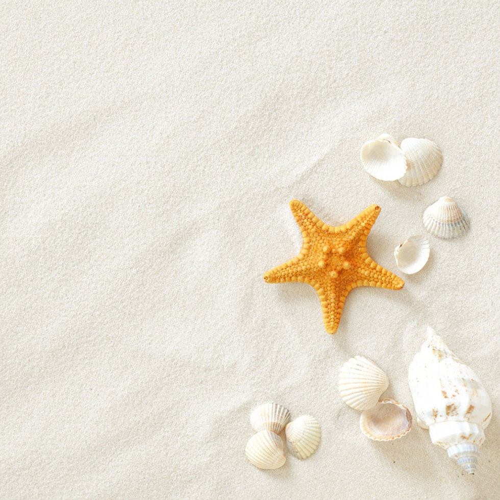 white sand beach starfish