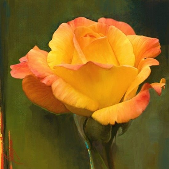 yellow rose flower painting