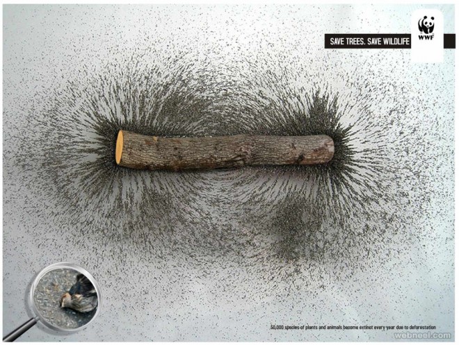save trees creative advertising idea deforestation