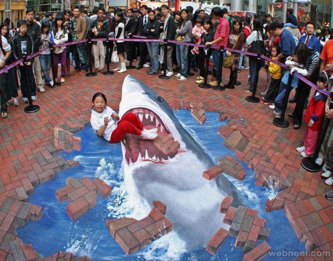 shark 3d street art