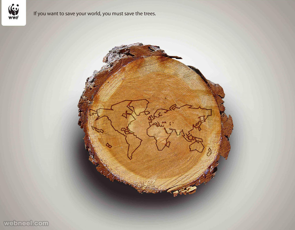deforestation advertising