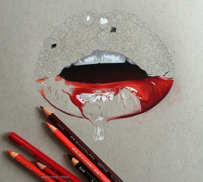 color pencil drawing by melissa scott