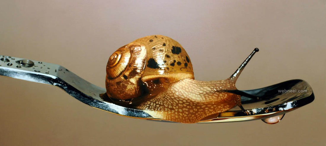 golden hyper snail realistic painting