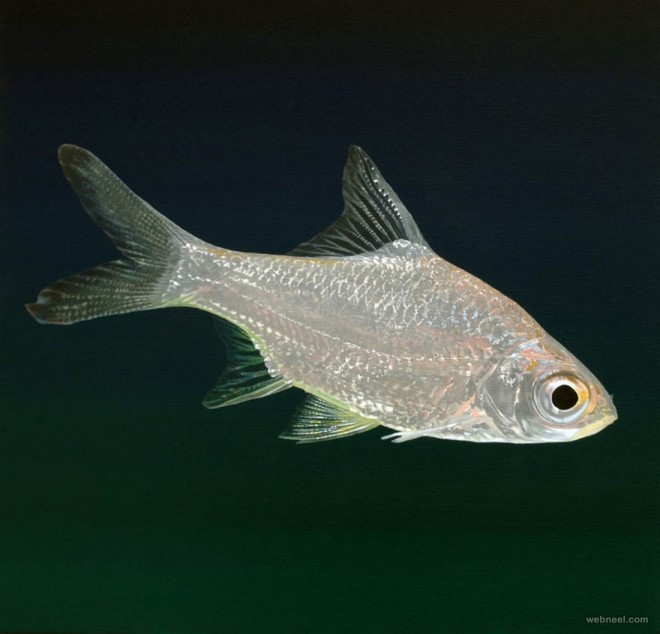 silver fish hyper realistic painting by youngsungkim