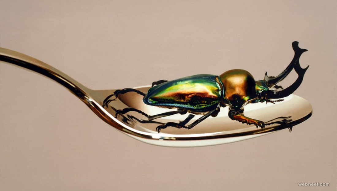 beetle hyper realistic painting by youngsungkim