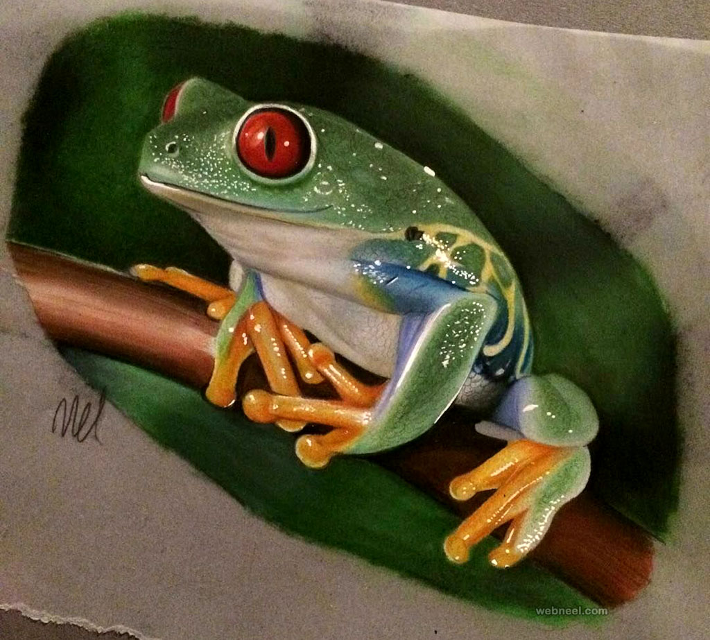 Color Pencil Drawing By Melissa Scott 18