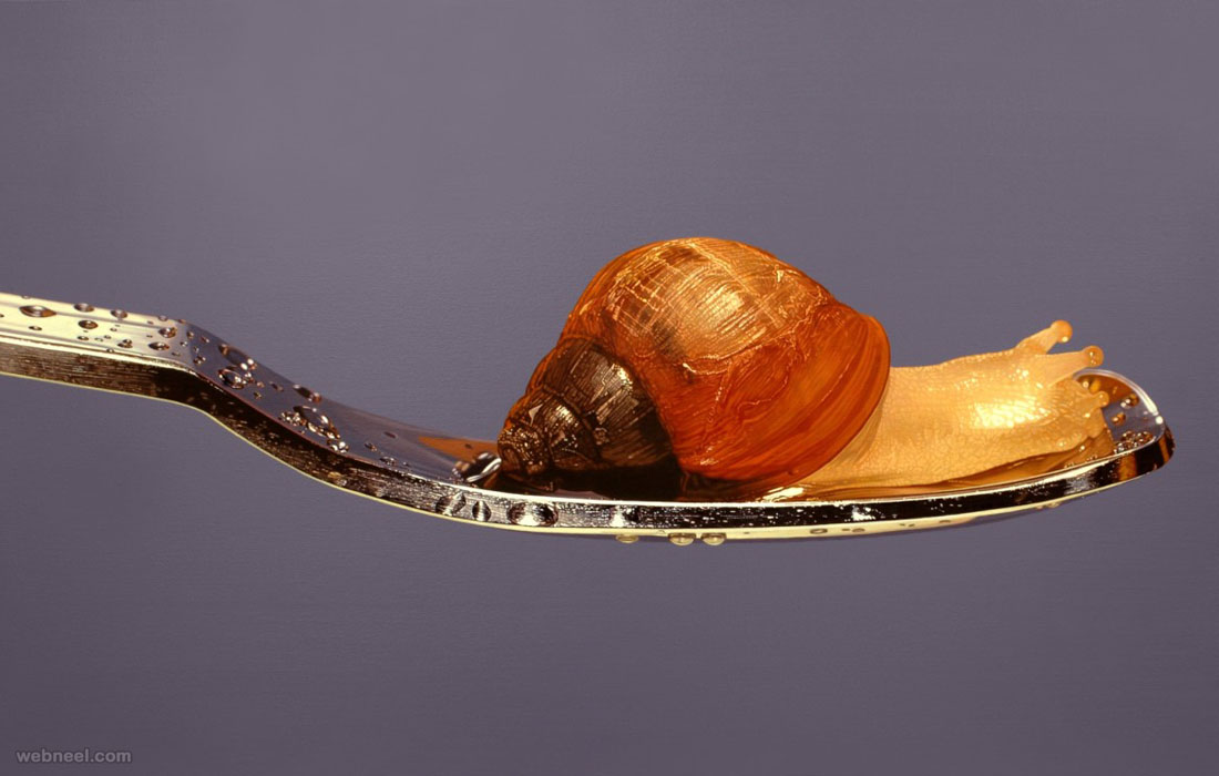 snail hyper realistic painting